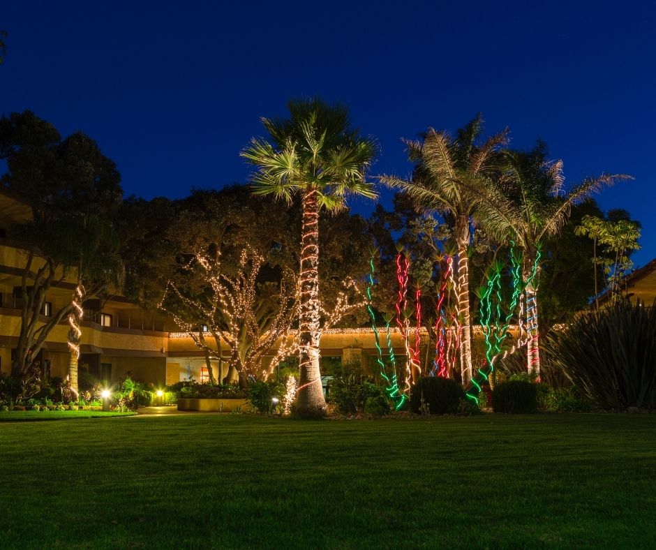 Holiday palm tree lighting in Delray Beach